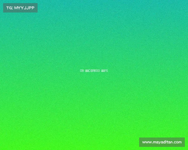 08 本田CBR600 简称F5