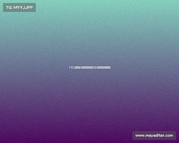 1.6L的家用车 油耗比工信部还低2成 一年节省出一台电脑 1.6L的家用车 油耗比工信部还低2成 一年节省出一台电脑