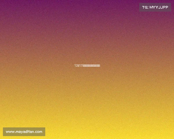 12月17日第十二届加博会东莞开幕